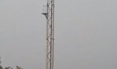 नर्मदापुरम में बीजेपी पार्षद की दबंगई: निजी भूमि पर लगवाया टेलीकॉम टॉवर, खुद वसूल रही ₹12 हजार मासिक किराया।