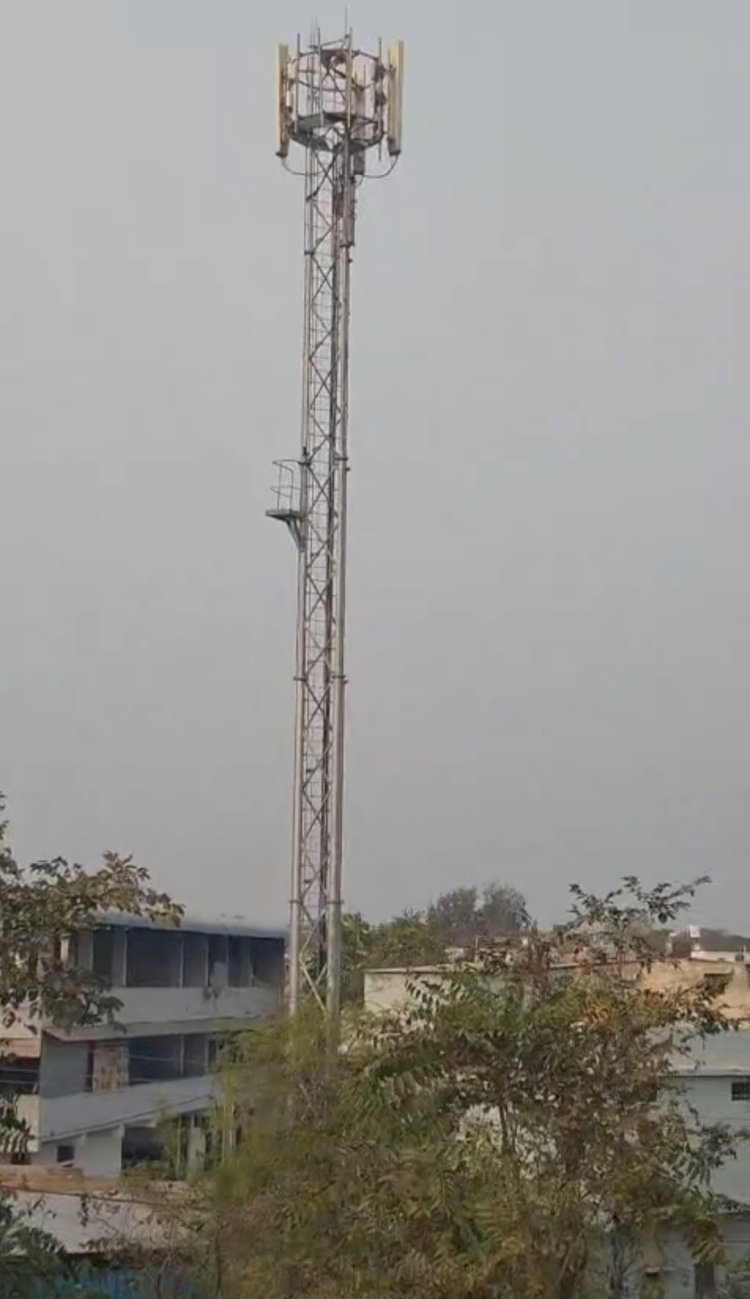 नर्मदापुरम में बीजेपी पार्षद की दबंगई: निजी भूमि पर लगवाया टेलीकॉम टॉवर, खुद वसूल रही ₹12 हजार मासिक किराया।